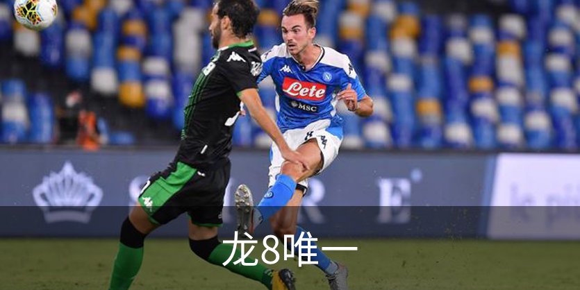 关于龙8唯一